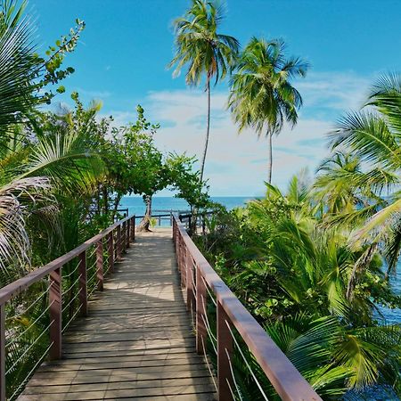 Oso Perezoso Pool Villa Puerto Viejo de Talamanca المظهر الخارجي الصورة