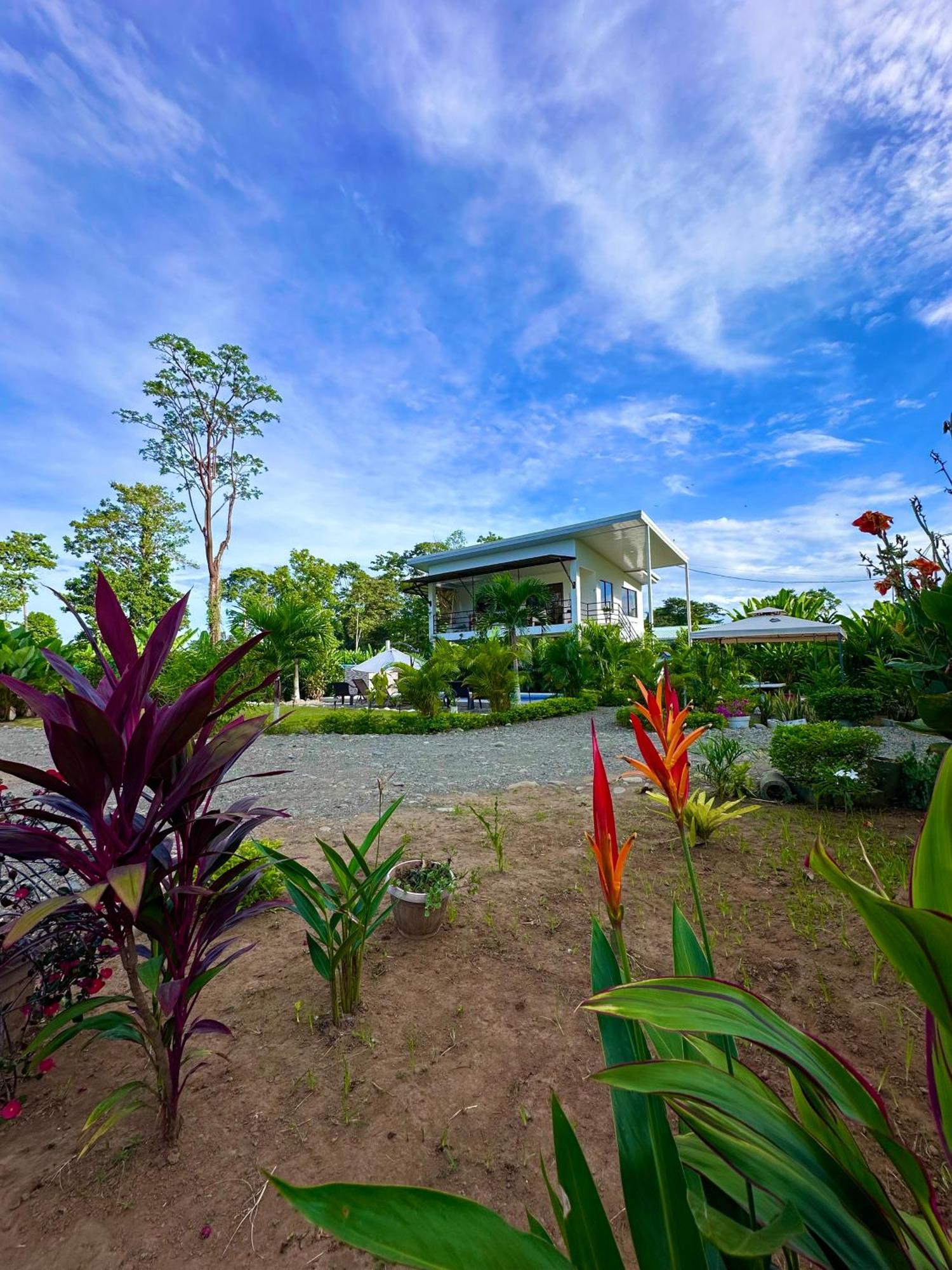 Oso Perezoso Pool Villa Puerto Viejo de Talamanca المظهر الخارجي الصورة
