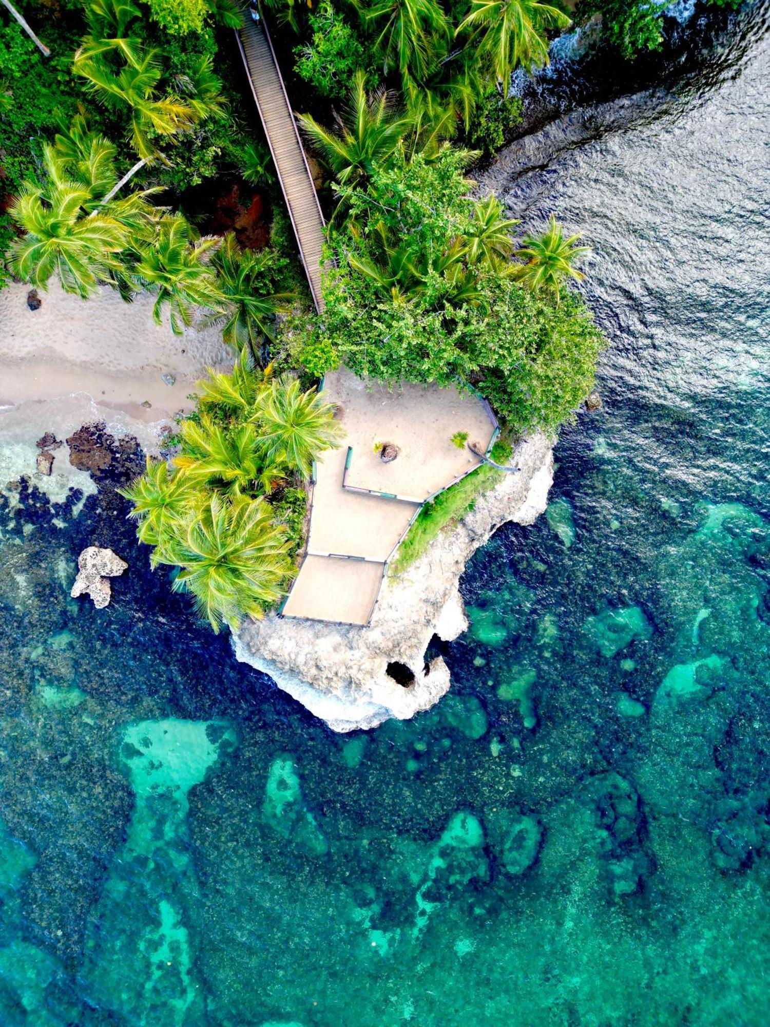 Oso Perezoso Pool Villa Puerto Viejo de Talamanca المظهر الخارجي الصورة