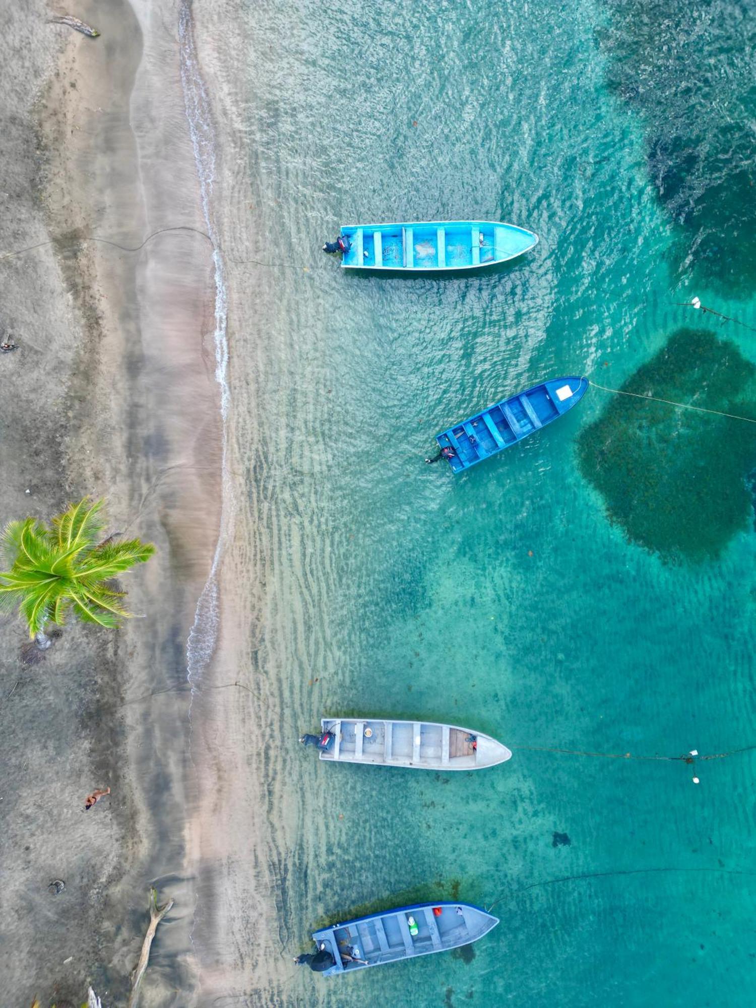 Oso Perezoso Pool Villa Puerto Viejo de Talamanca المظهر الخارجي الصورة